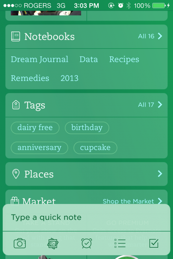 journal for evernote review