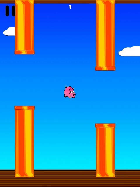  A flying pig!