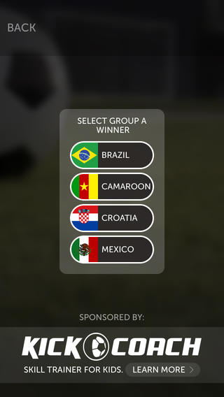 World Soccer Championship Bracket Generator 2014 screenshot 2