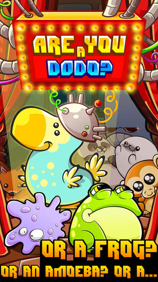 dodo live chat app